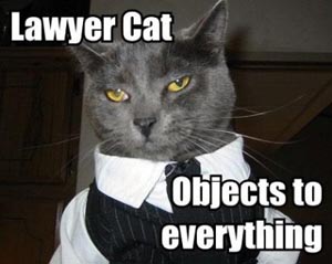 Lawyer cat objects to everything